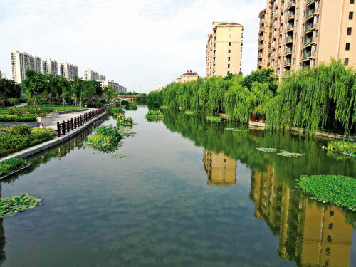 一文帶你了解雨污分離工程
